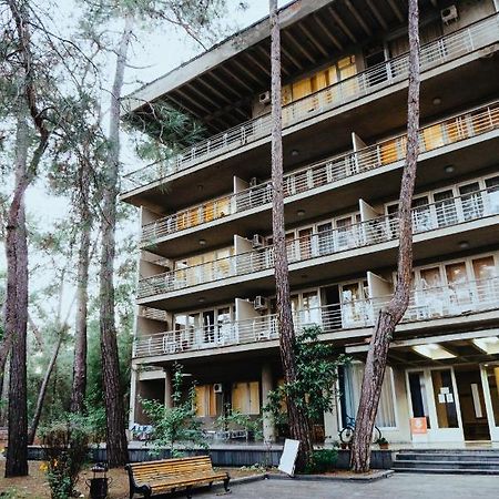 Gosdacha Ldzaa Hotel Lidzava Esterno foto
