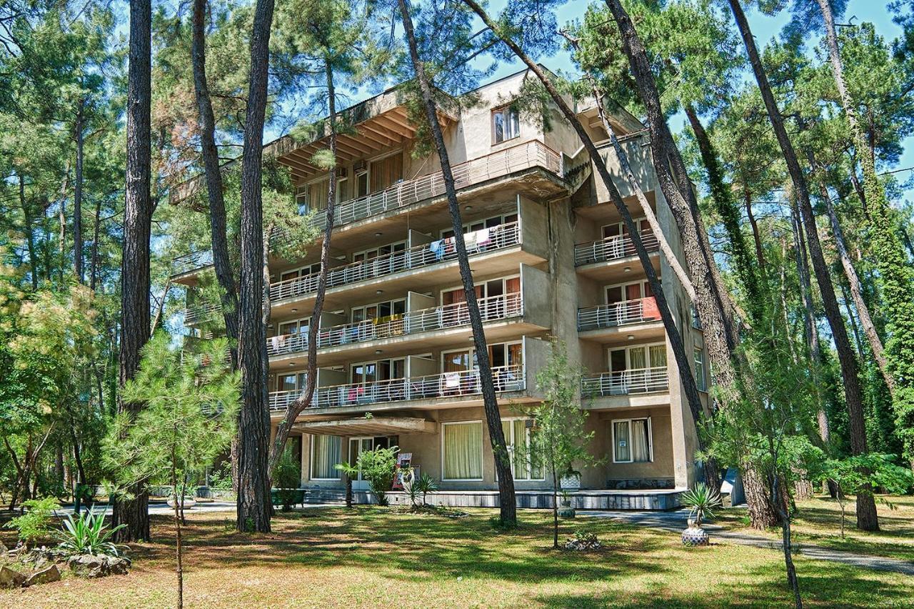 Gosdacha Ldzaa Hotel Lidzava Esterno foto