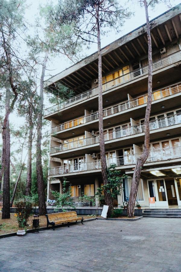 Gosdacha Ldzaa Hotel Lidzava Esterno foto