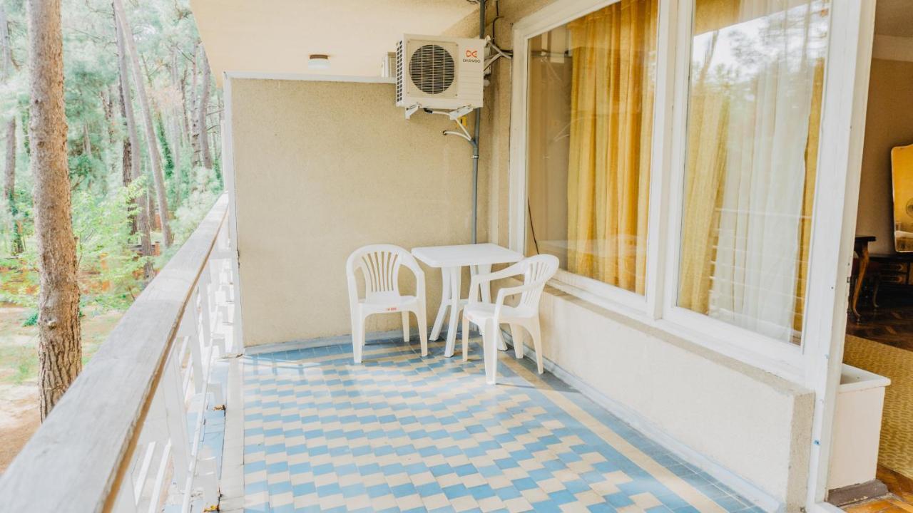 Gosdacha Ldzaa Hotel Lidzava Esterno foto