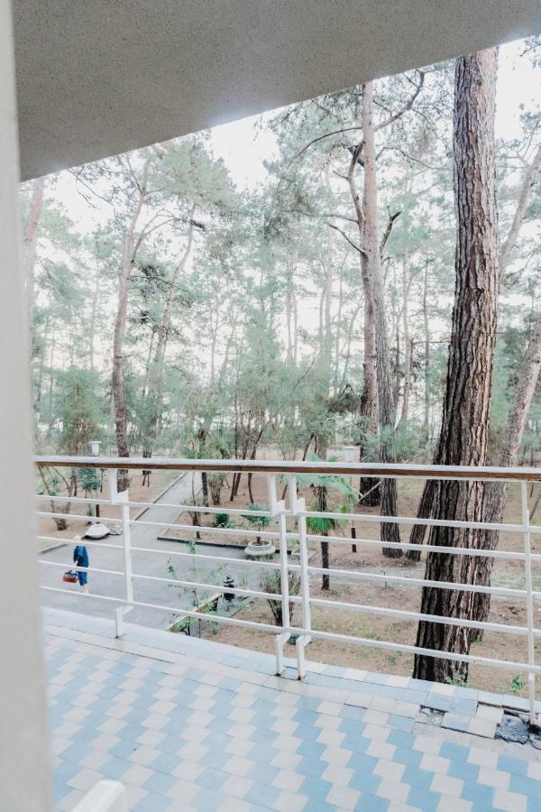 Gosdacha Ldzaa Hotel Lidzava Esterno foto